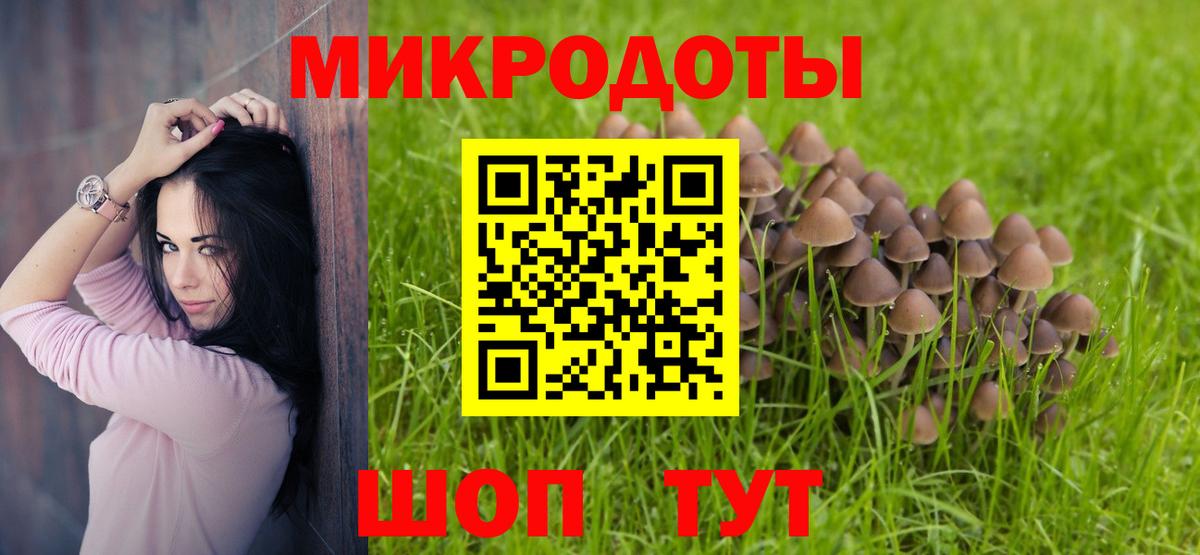 Мурино  Галлюциногенные грибы мицелий  Псилоцибиновые грибы мицелий  Вход с VPN 
