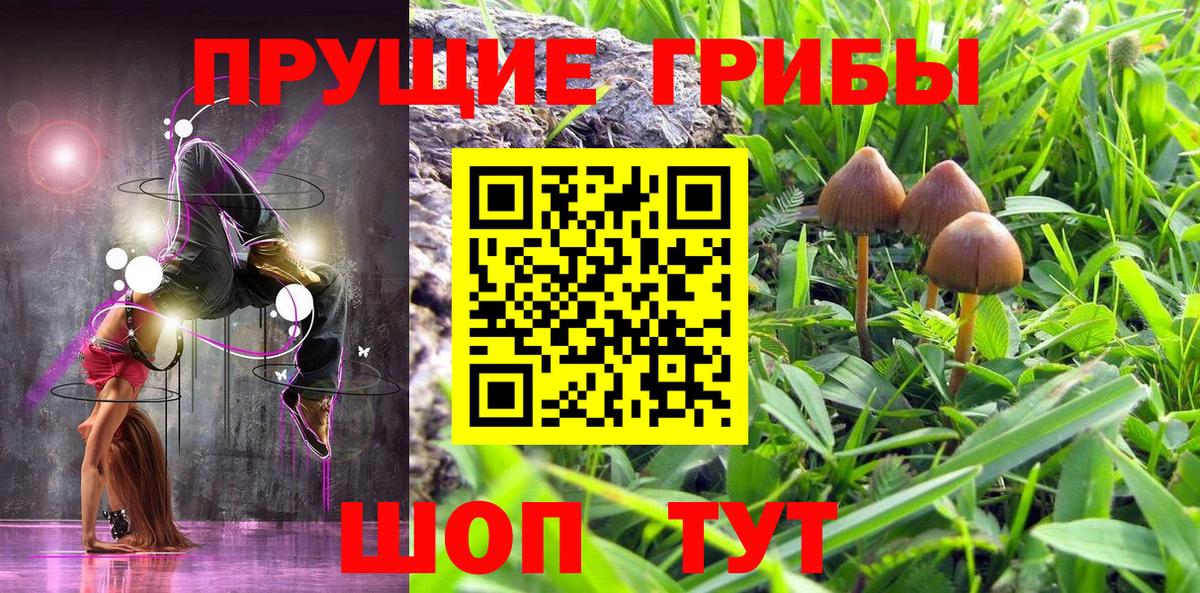 Псилоцибиновые грибы ЛСД Мурино